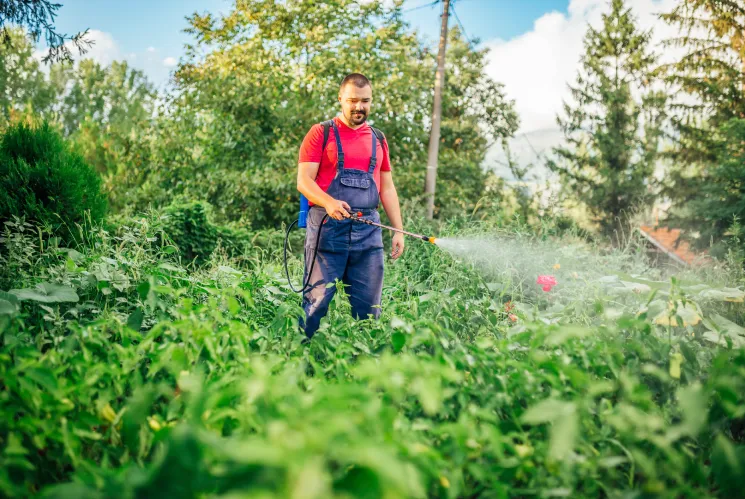 paraquat use the unfortunate truth